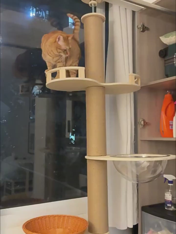 Vertical Tall Cat Tree Tower with Space Capsule Bed, Hammock & Multiple Lookout Perch Platforms, Multi-Level Climbing Activity Cat Furniture for Indoor Cats